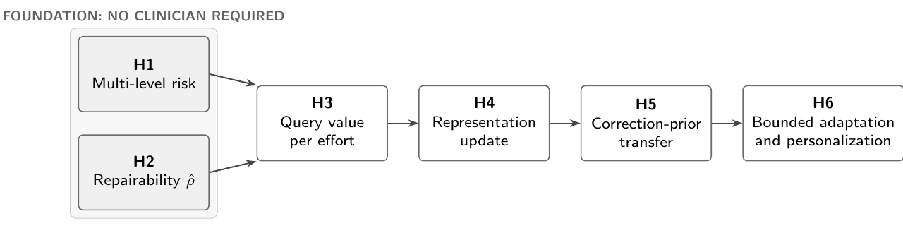 Hypothesis dependency graph from multi-level risk and repairability through query value, representation update, correction-prior transfer, and bounded adaptation.