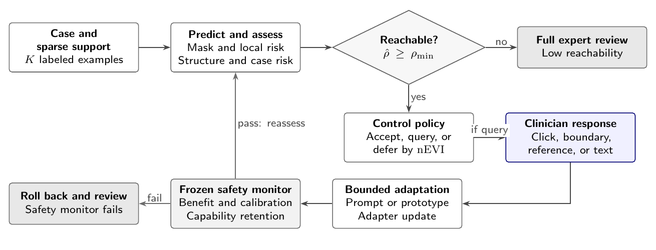 Selective interactive adaptation loop with a reachability gate, clinician response, bounded adaptation, frozen safety monitor, and rollback.